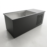 PolarEdge Monolith X Integrated Cold Plunge — Studio Shot