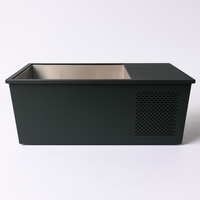 Cold Plunge Tub Designed for Home Wellness, 316L Stainless Steel Basin, Integrated Side Chiller, Rapid Cooling